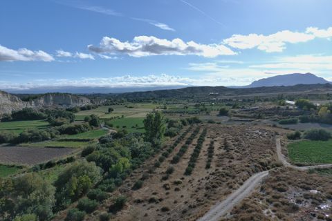 Cave house i Benamaurel, Granada, Benamaurel - € 75.000 | Ref: cs2217 - foto 46